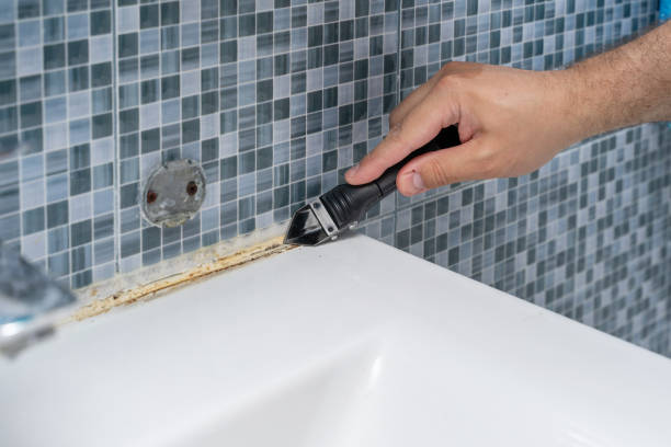 Best Local Mold Removal Service  in Port Orchard, WA