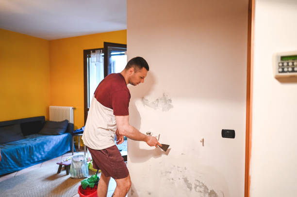 Best Mold Cleaning Services  in Port Orchard, WA